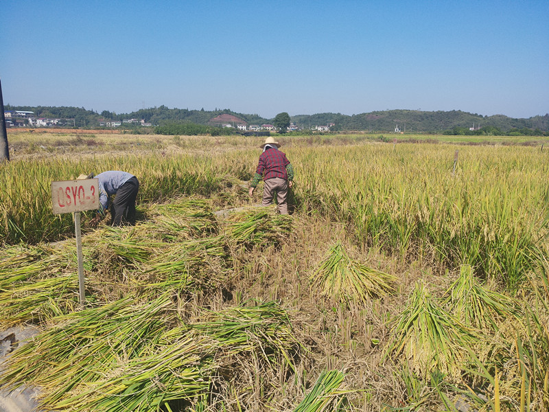 云唐土壤重金屬分析儀提升檢測效率