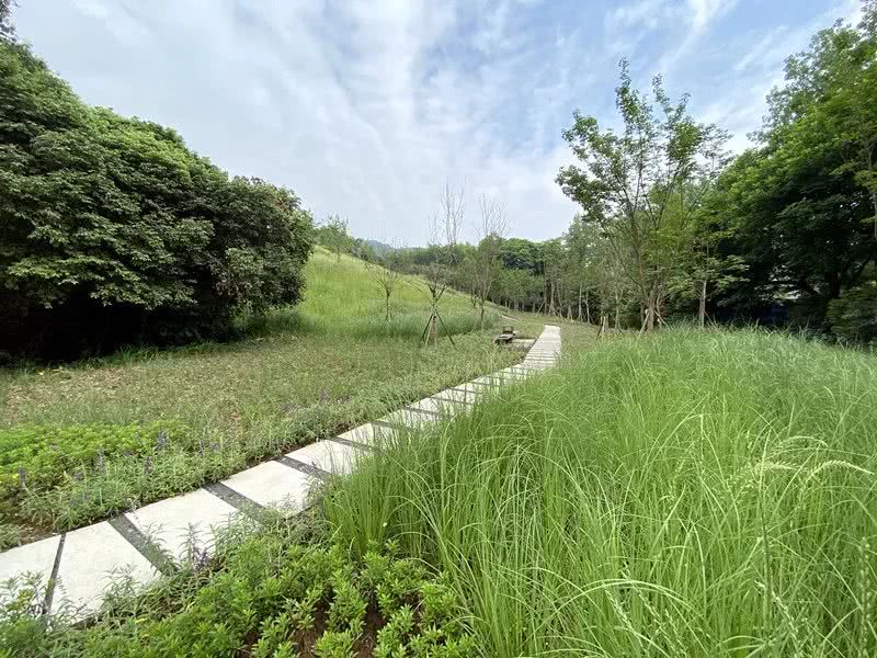 環(huán)境監(jiān)測(cè)站節(jié)省成本、提**率