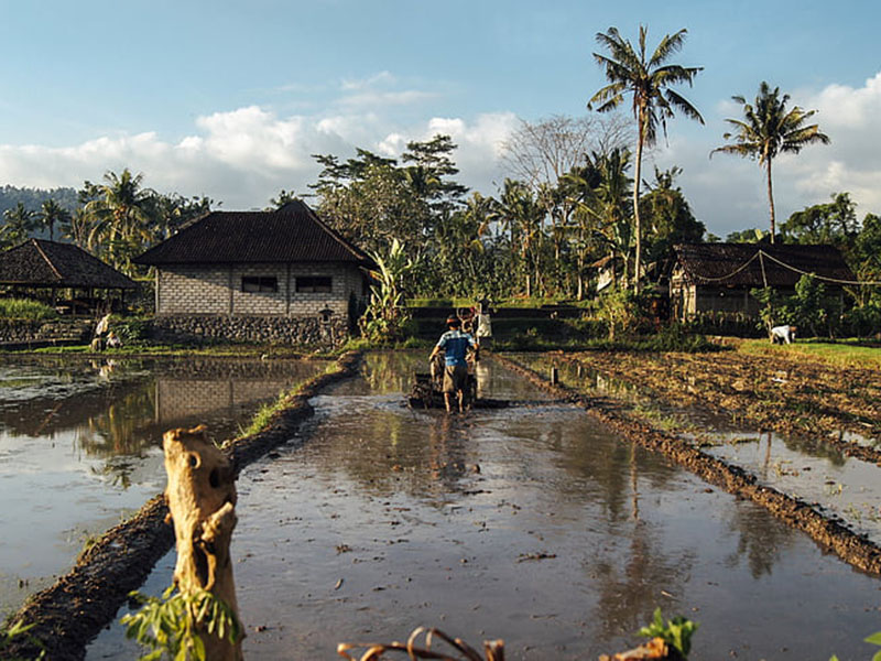 土壤水分測定儀檢測土壤需水量 土壤水分測定儀檢測土壤需水量