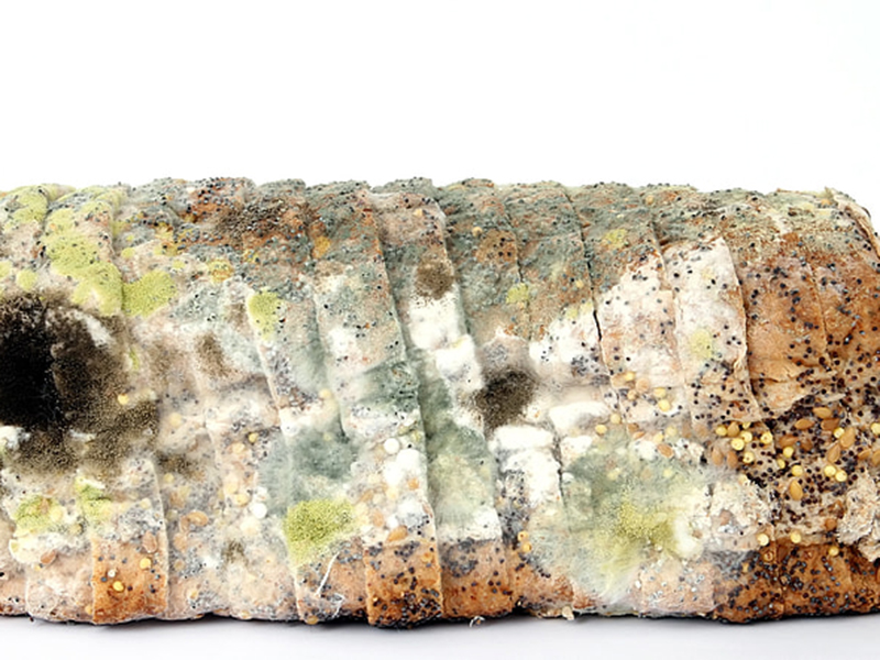 食品中的黃曲霉毒素要怎么去除 食品中的黃曲霉毒素要怎么去除