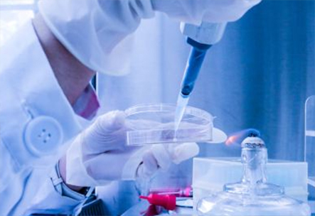 土壤檢測實驗室建設方案