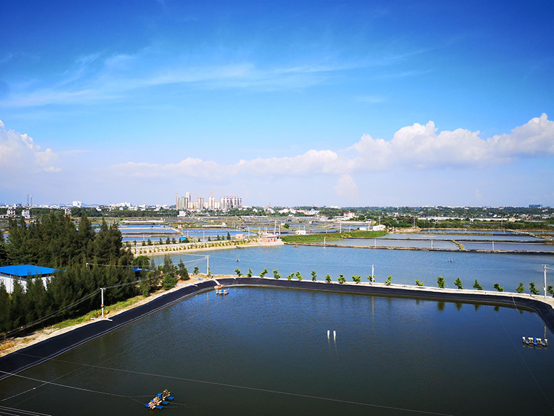 水產養殖殘藥檢測儀 水產養殖殘藥檢測儀