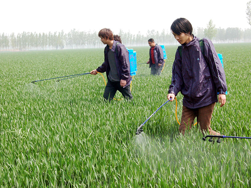 如何判斷食物中是否有農(nóng)藥殘留 11.jpg