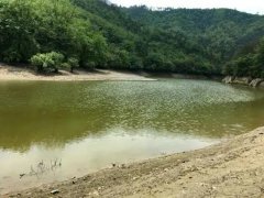 水產(chǎn)養(yǎng)殖檢測儀，為水源保護提供精準數(shù)據(jù)