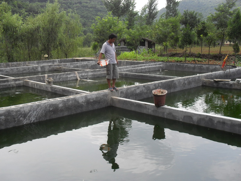 水中硫化氫檢測儀,可以為水產養殖做什么 水中硫化氫檢測儀,可以為水產養殖做什么